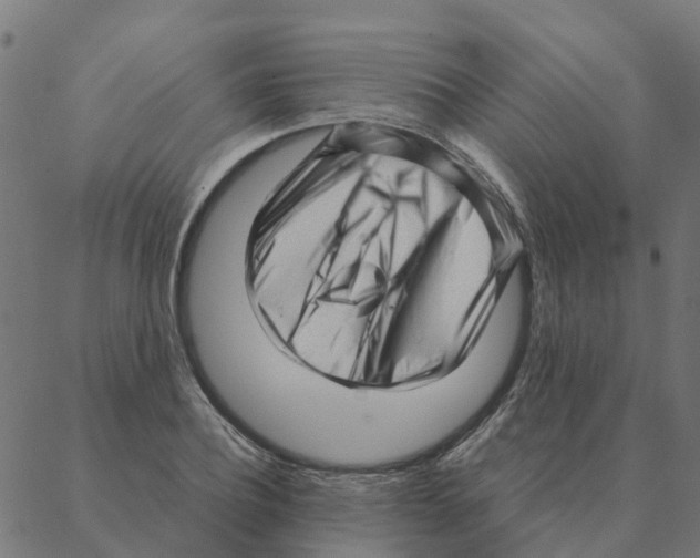 X0000087390932200705181303