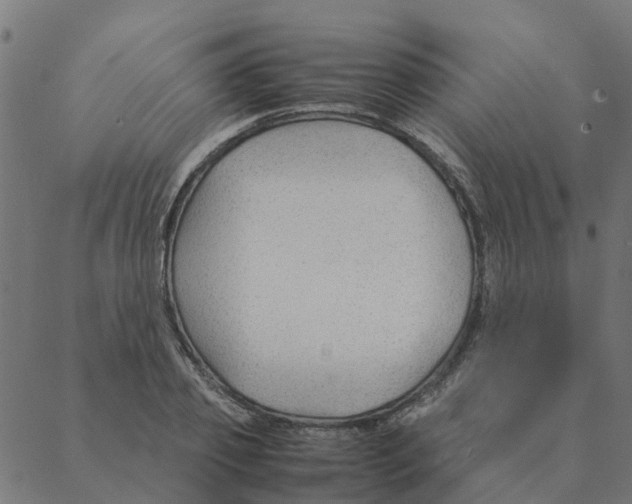 X0000087390933200705181303