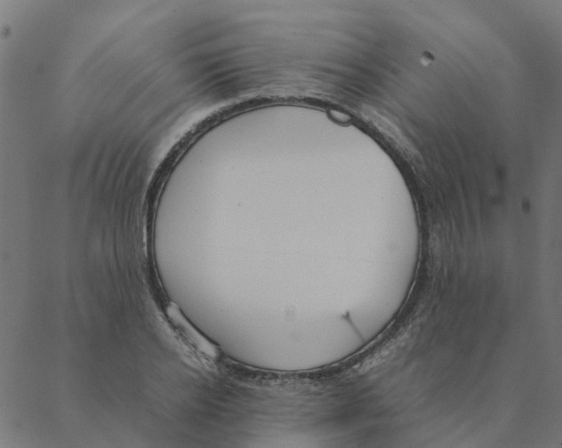 X0000087390934200705181303