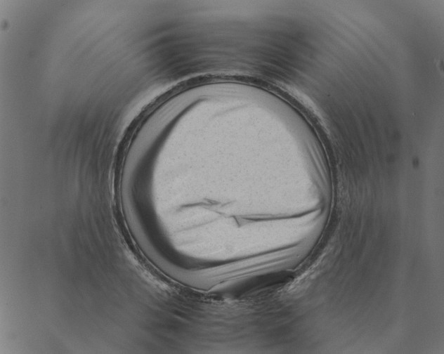 X0000087390935200705181303