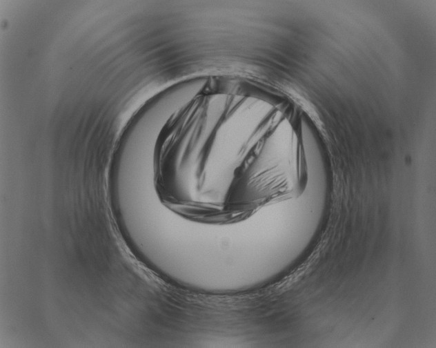 X0000087390936200705181304