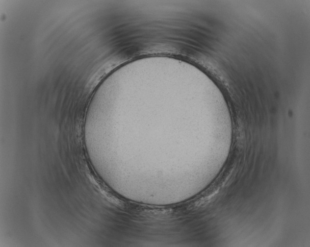 X0000087390937200705181304