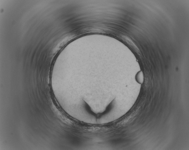 X0000087390938200705181304