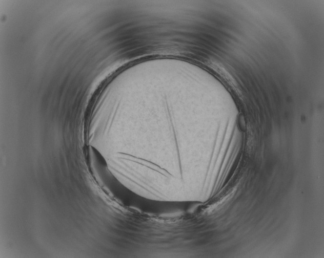 X0000087390939200705181304