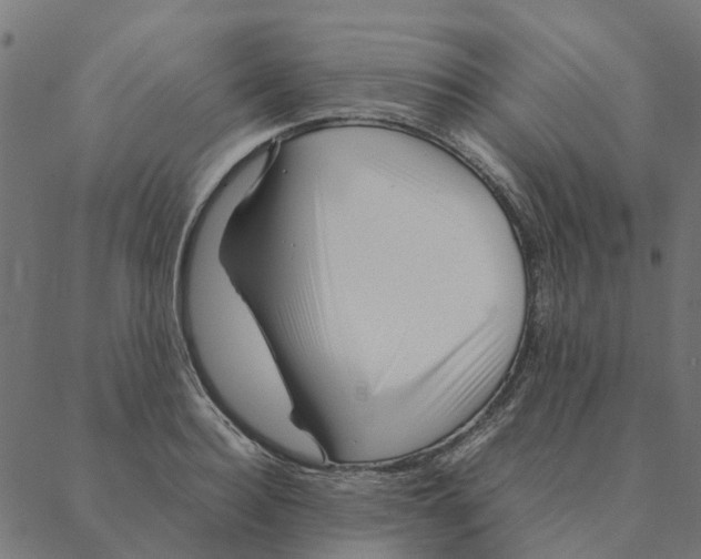 X0000087390940200705181304