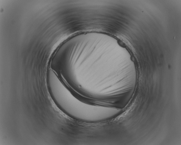 X0000087390941200705181304