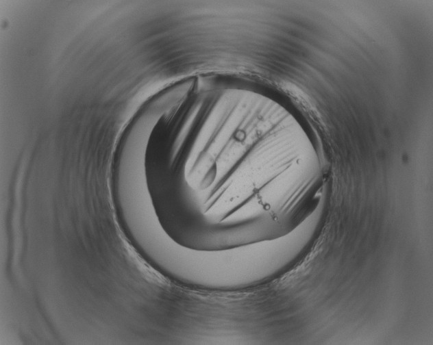 X0000087390942200705181304