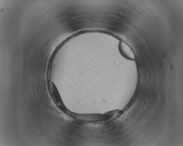 X0000087390943200705181304