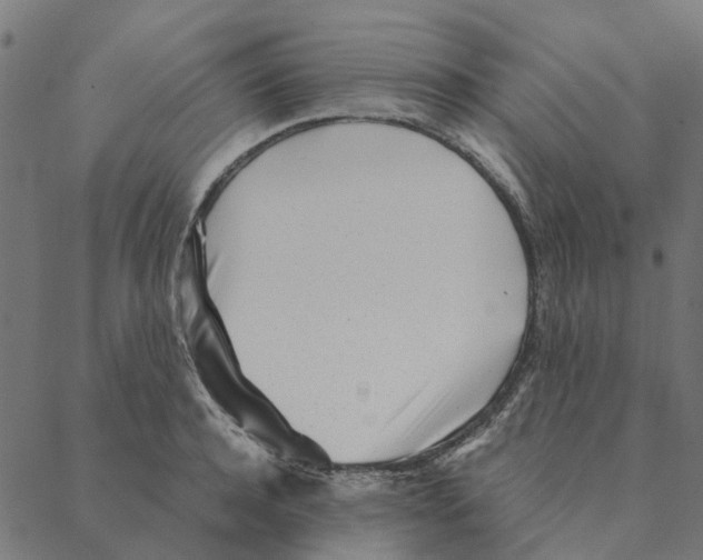 X0000087390944200705181304