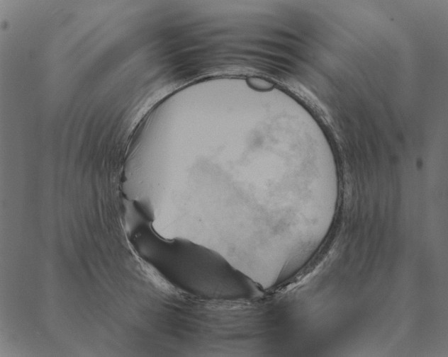 X0000087390945200705181304