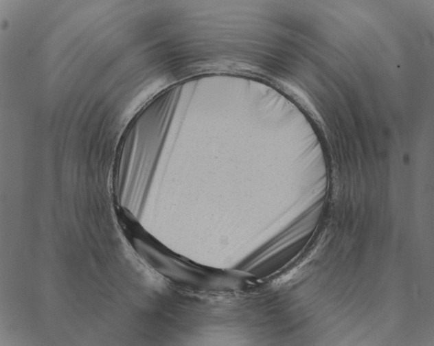 X0000087390946200705181304