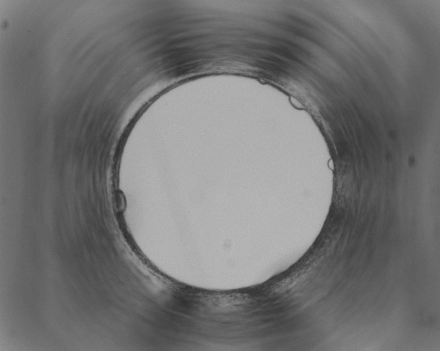 X0000087390947200705181304