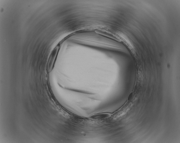 X0000087390948200705181304