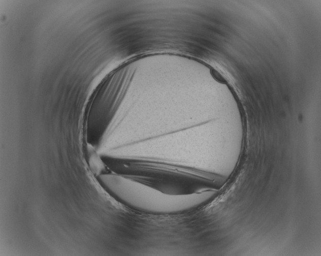 X0000087390949200705181304