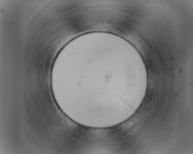 X0000087390950200705181304