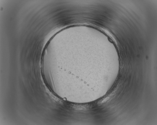 X0000087390951200705181304