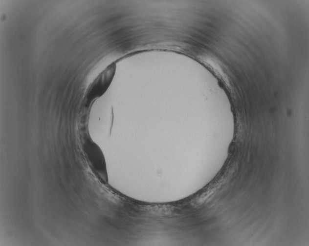 X0000087390952200705181304