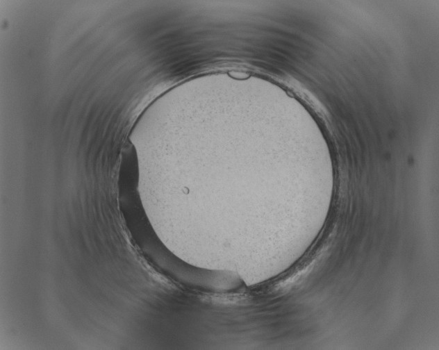 X0000087390953200705181304