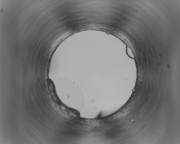 X0000087390954200705181304