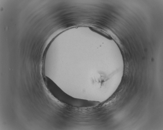 X0000087390955200705181304