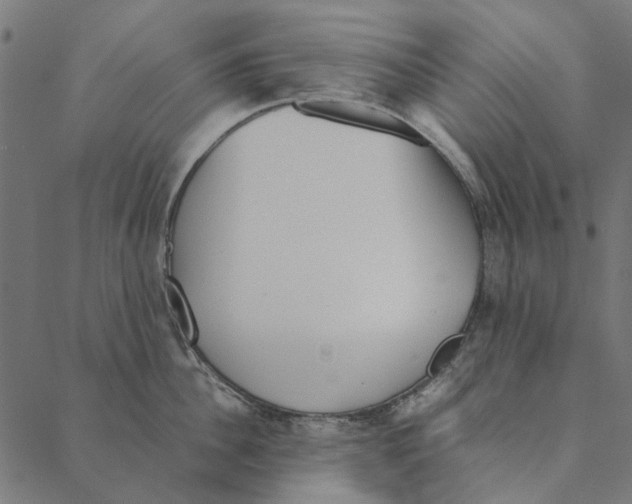 X0000087390956200705181304