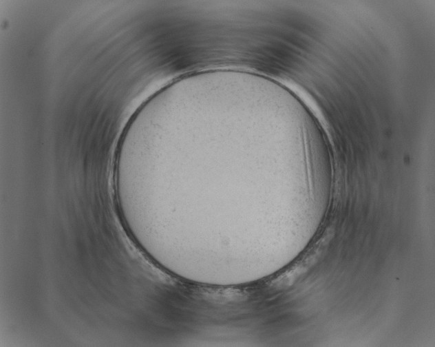 X0000087390957200705181304