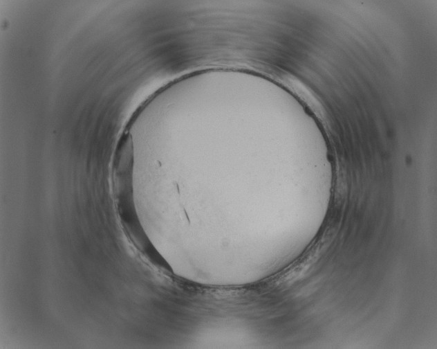 X0000087390958200705181304