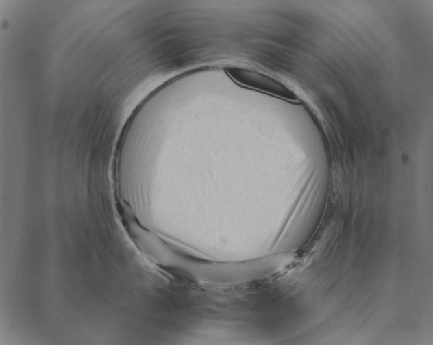 X0000087390959200705181304