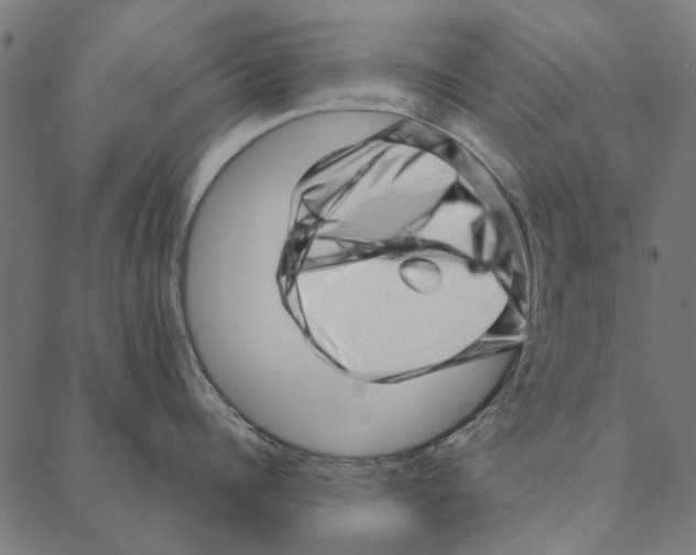 X0000087390960200705181304