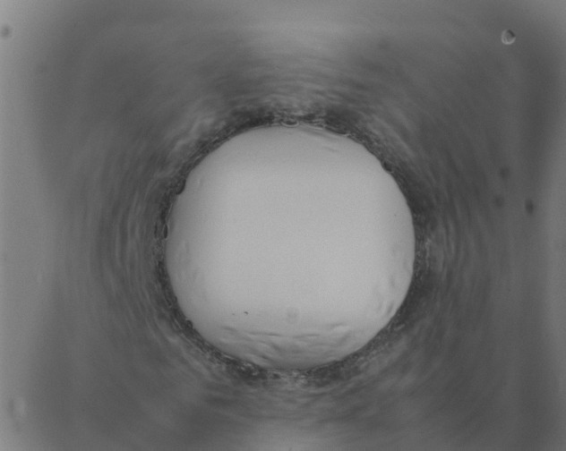 X0000087390961200705181303