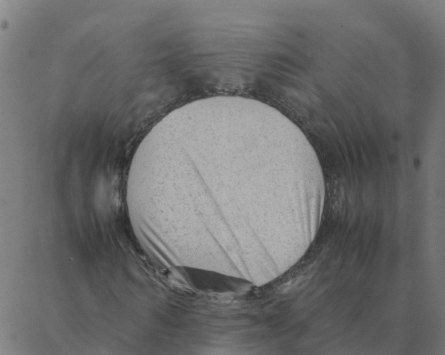 X0000087390962200705181303