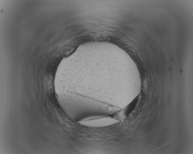 X0000087390963200705181303