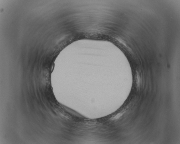 X0000087390964200705181303