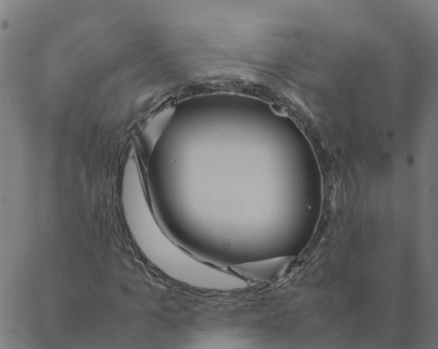 X0000087390965200705181303