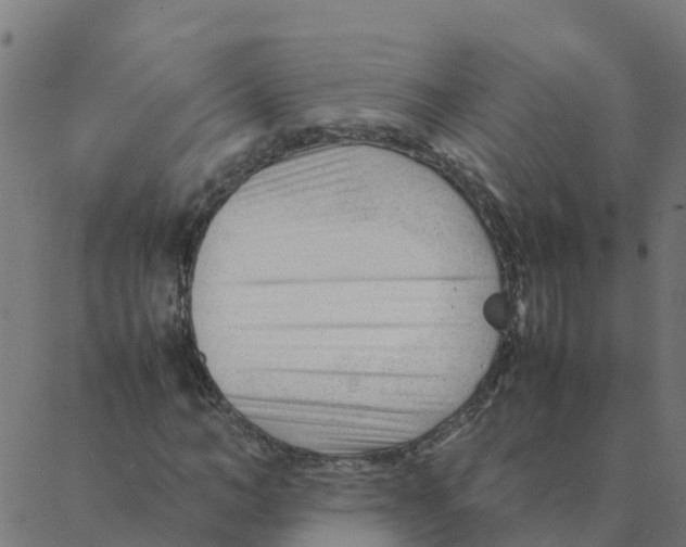 X0000087390966200705181303