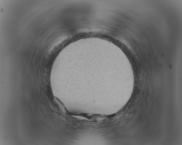 X0000087390967200705181303