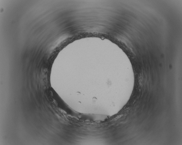 X0000087390968200705181303