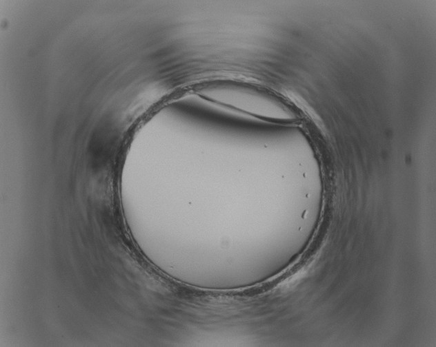 X0000087390969200705181303