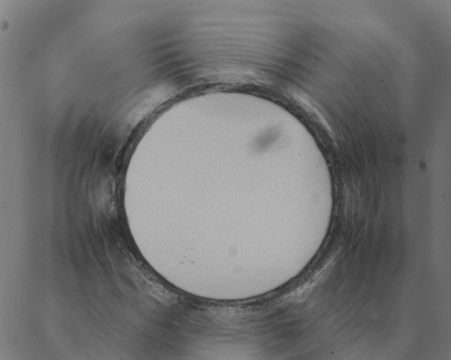 X0000087390970200705181303