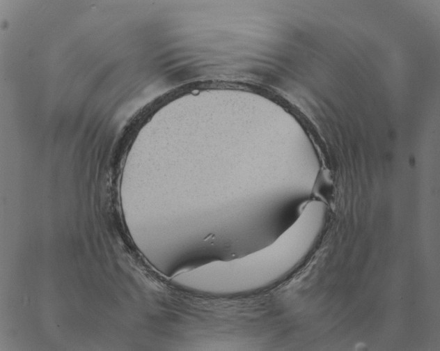 X0000087390971200705181303