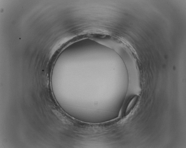 X0000087390973200705181303