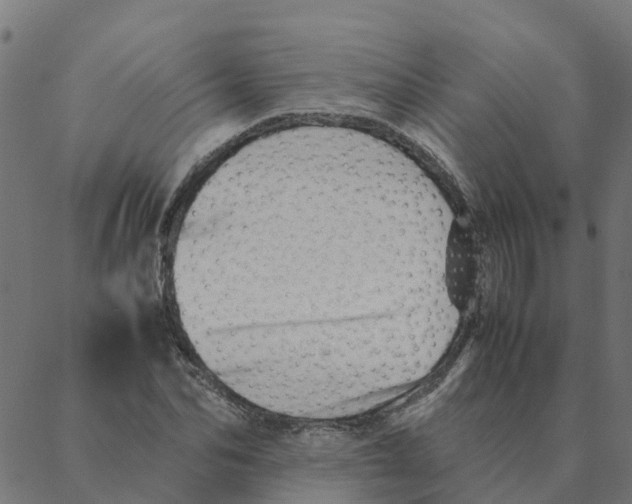 X0000087390974200705181303