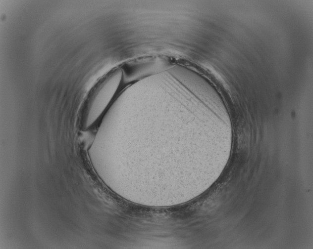 X0000087390975200705181303