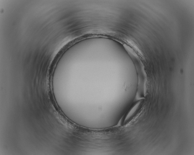 X0000087390976200705181303