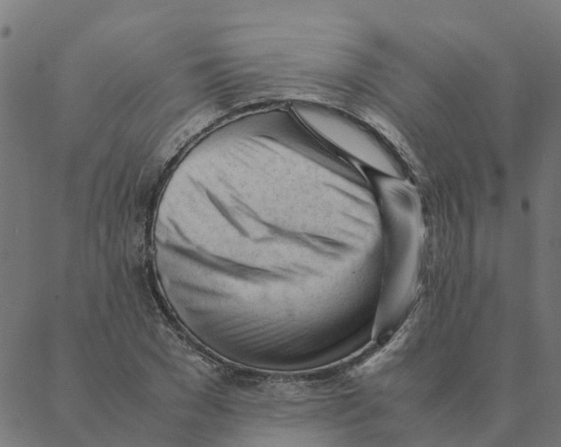 X0000087390977200705181303