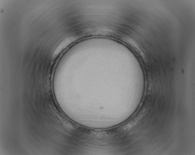 X0000087390978200705181303