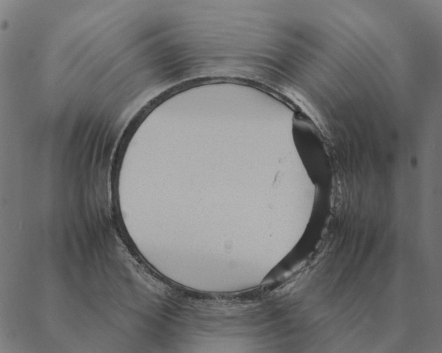 X0000087390980200705181303