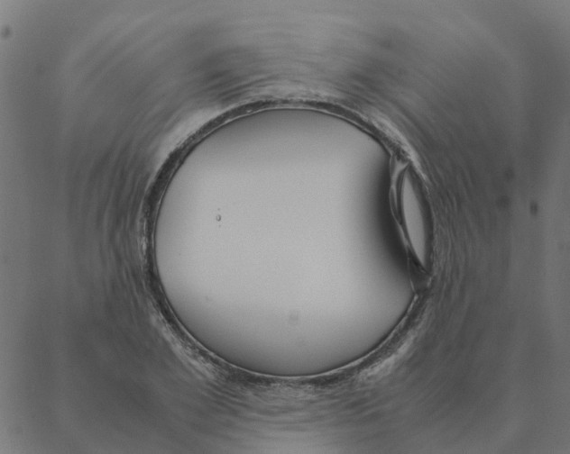 X0000087390981200705181303