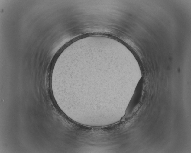 X0000087390983200705181303