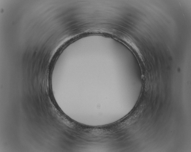 X0000087390984200705181303